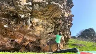 Spiders V6