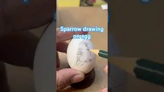 Drawing a Sparrow on an Egg &mdash; Pencil to Ink Transformation | Realistic Art Demo