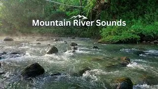 8 Hours Gentle River Sounds for Deep Sleep All Night Steady Natural Forest Water Flow