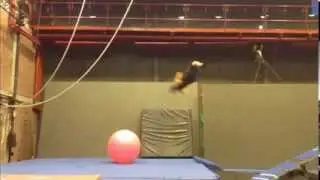 InCircus - Have you seen this one before?