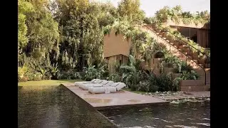The 