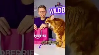 Секретный клиент орёт на выдаче