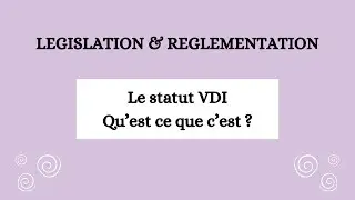 Le statut VDI