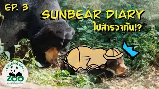 Sunbear Diary#3 ไปสำรวจกัน!?