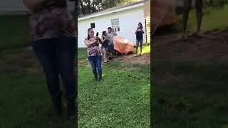Twins Gender Reveal
