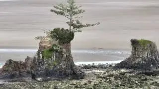 Siletz Bay