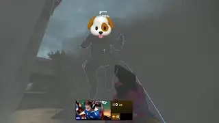 hoje teve cachorrada do art