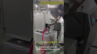 Vacuum Sausage Filler with Electric Clipping Machine | Automatic Sausage Production Line #meatmarket