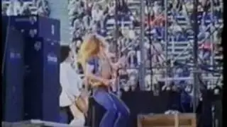 Led Zeppelin's Rock and Roll Fans