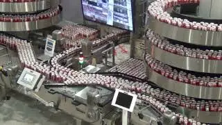 Integrating 2 Mass Flow Spiral Conveyors