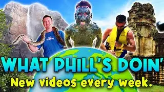 📺 What Phill's Doin'.