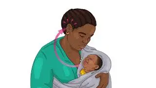 Breastfeeding and the Let Down Reflex