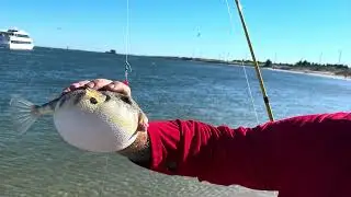 Surf fishing radio island. Morehead city, N.C.