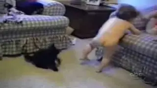 New Funny Cat Bloopers