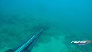 😍🐟🙌Pesca Submarina