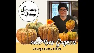 Courge Futsu Noire. Semences du Portage. Yves Gagnon.