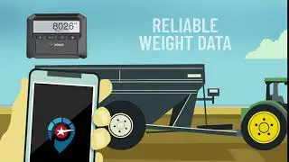 Scale-Tec - Point