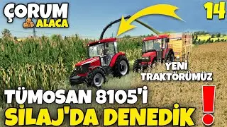 YENİ TRAKTÖRÜMÜZ TÜMOSAN 8105  İLE SİLAJ YAPTIK / ÇORUM ALACA RP  #rümosan8105 @RAGNAR & BARIŞ