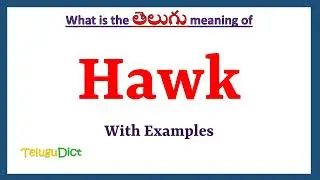 Hawk Meaning in Telugu | Hawk in Telugu | Hawk in Telugu Dictionary |