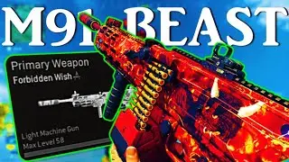 I made a Hip-Fire M91 Warzone Loadout and it still BEAMS at LONG RANGE! (Call of Duty: Warzone)