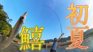 キス釣り大調査‼️梅雨前にキス釣りに行ってみよう