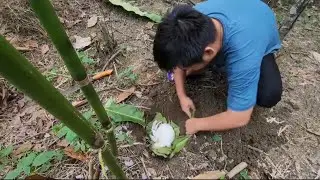 &ldquo;Under the Cold Rain, Trieu Son Lost a Rabbit &ndash; The Sad Story of a Farm Life&rdquo;