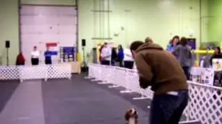 Fastest Recall Competition at Howl-o-ween - Central Bark Oswego 10/24/09