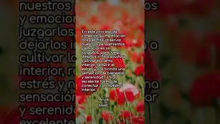 conecta con tu interior #amor #meditacion #meditaci&oacute;n #amor #amorpropio #amorincondicional