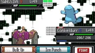 Pokemon Reborn - Fighting Monotype - Terra Battle