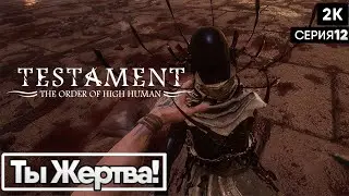 Testament: The Order of High Human[2023] ep 12 Ты Жертва! [2к 60ᶠᵖˢ] [rus]