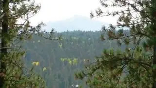 Homes for Sale - Spring Run Road Deadwood SD 57732 - Greg Klein