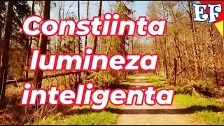 CONSTIINTA Spirituala 🔥 Adevarata VALOARE