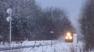CP 8737 in Utopia (05JAN2011)