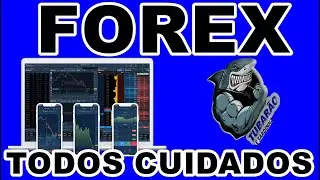 FOREX TODOS CUIDADOS NO SIGNALS