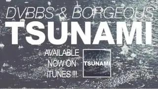 DVBBS - TSUNAMI (REMIX)