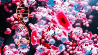 528Hz | Brings Positive Transformation | Heal Golden Chakra | Whole Body Cell Repair