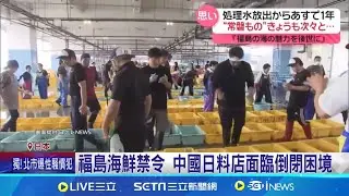 福島核廢水入海周年 遊客.主播大啖海鮮掛保證 福島核廢水第8次排放 年排放量達6.2萬噸 福島海鮮禁令 中國日本料理店面臨倒閉困境│記者 柯雅涵│【國際焦點】20240824│三立新聞台