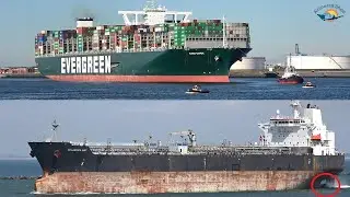 400m (1312ft) long EVER GIVEN arrives at ROTTERDAM Port - Shipspotting August 2020