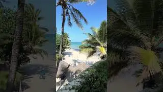Leopard Beach Resort Ukunda KENYA Diani beach #africa #kenya #beach #travel #4k