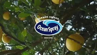 Ocean Spray&reg; Grapefruit Juice &ndash; Straight from the Grove