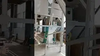The Packing Process For The Pellet Production Line, Skirt Belt Save Space, Better Collect Pellets