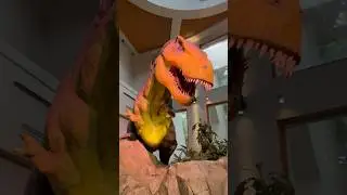 Most Amazing Gift Shop at JURASSIC PARK Universal Studios Florida