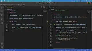 OpenCV Part 3 - Realtime face regognition