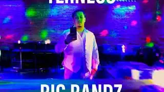 TERNEUS - BIG BANDZ