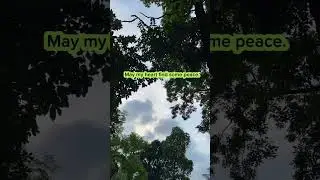 😊 #trending #shorts #fyp #viralvideo #NH08