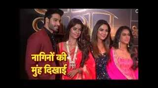 REVEALED! PLOT Of Naagin 4!