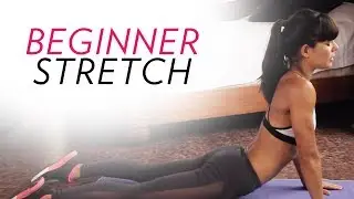 Stretching 101: The BEST STRETCHING ROUTINE for BEGINNERS