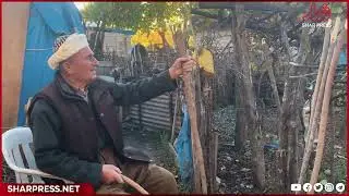 گۆپاڵ، گۆچان، گاڵۆک...یەکێک لە ھاوڕێ و ھاوسەفەرە دێرینەکانی مرۆڤی کورد...