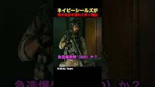 ネイビーシールズが軍犬を必ず連れて歩く理由