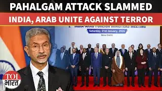Delhi Declaration Slams Pahalgam Terror Attack, Arab Foreign Ministers Back India On Zero Tolerance